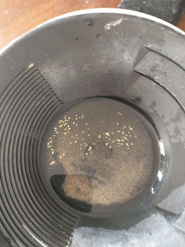 Customer photo review of Nugget Reserve 'MUSEUM SPECIMEN CHASE' - Gold Panning Paydirt Concentrate