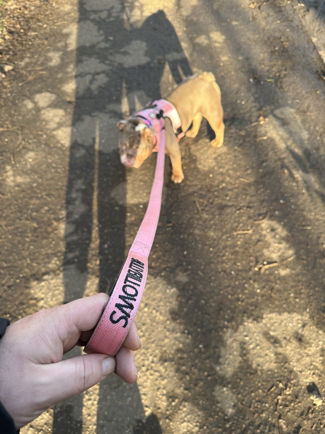 Customer photo review of 1.4m Swivel Combat Lead | Neoprene Lined, Secure Rated Clip with Soft Handle - Pink