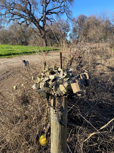 Customer photo review of Predator Ghillie™ Helmet Cover