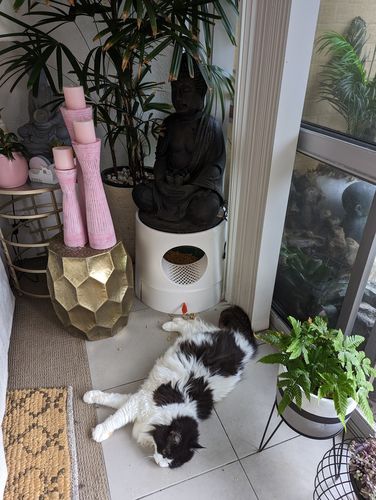 Customer photo review of Mayitwill XL Castle 2 in 1 Front-Entry Cat Litter Box with Scratch Basin, Scoop included, White