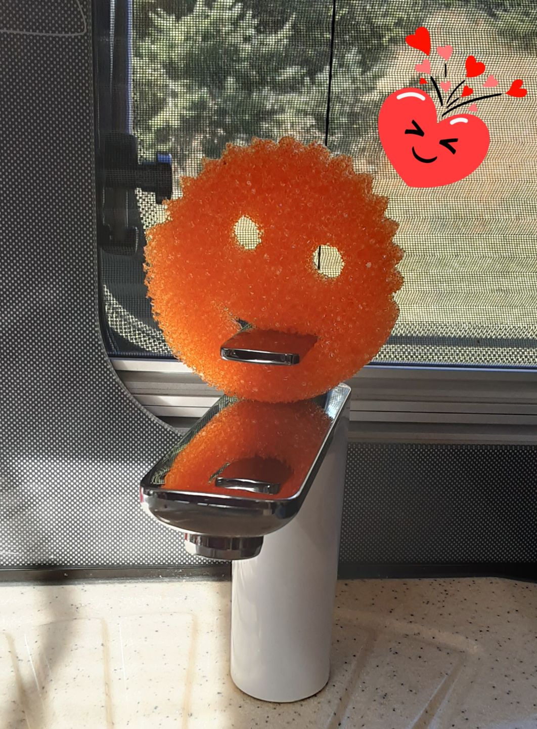 Customer photo review of Scrub Daddy Family (6 Pack)