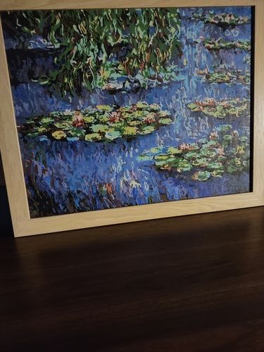 Customer photo review of Water Lilies - Paint by Numbers