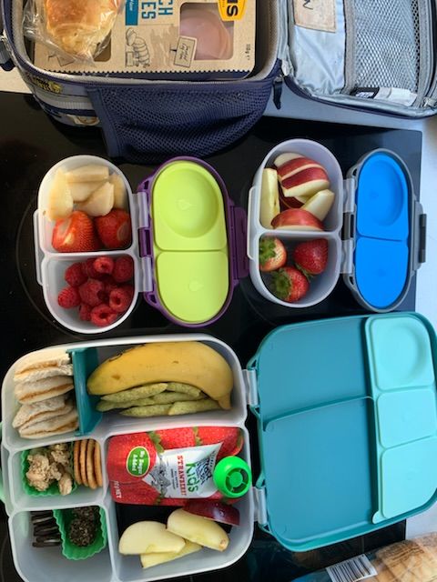 Customer photo review of b.box Lunchbox  – Emerald Forest