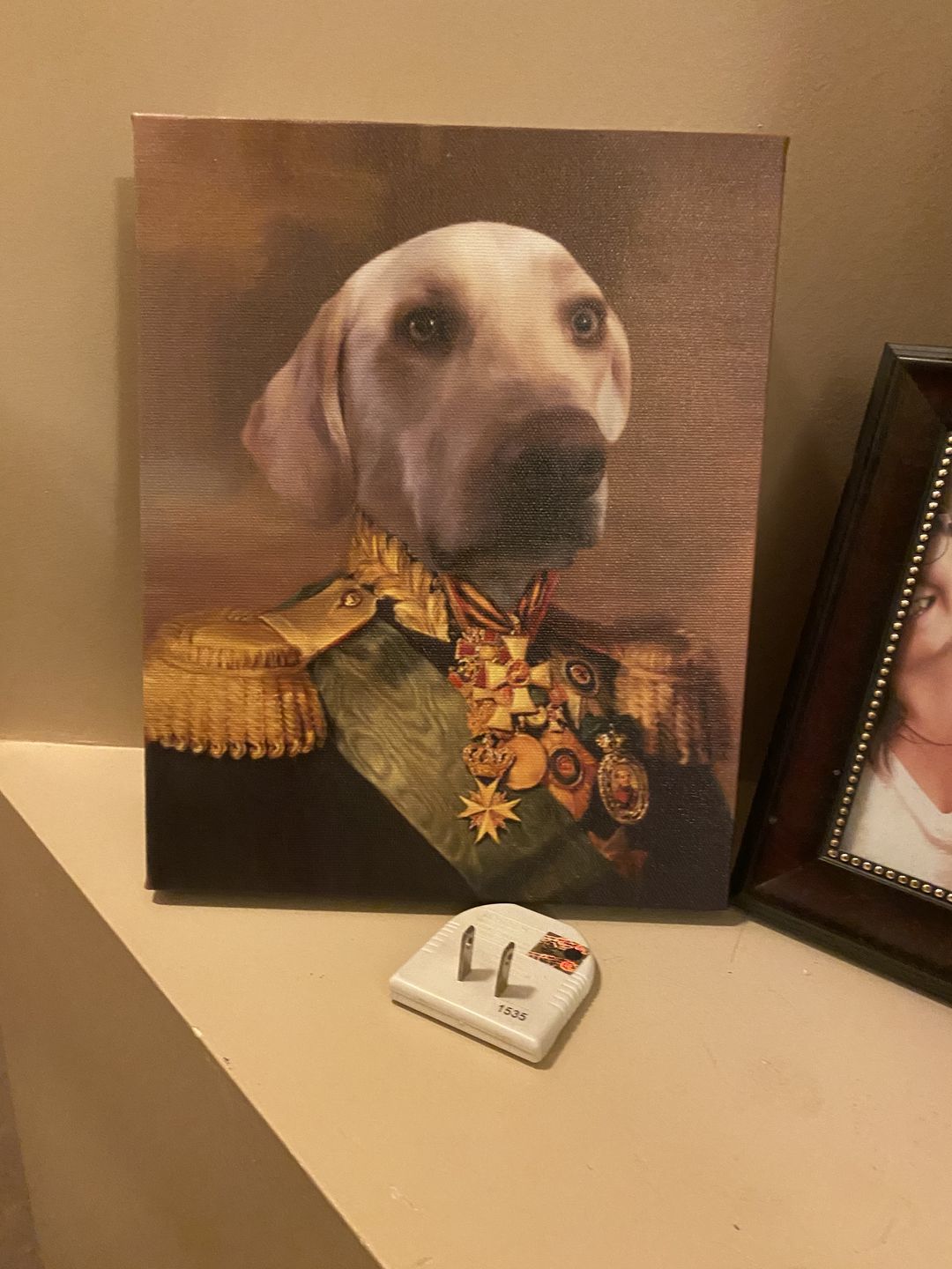 Customer photo review of Le Vice-Amiral