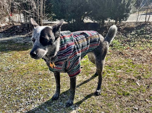 Customer photo review of Playa Poncho - Surprise Color