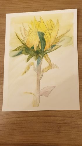 Customer photo review of 120 Pièces Crayons Aquarelle Dans Un Étui À Étain D'affichage