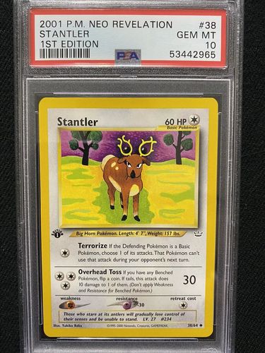 Customer photo review of Clutch Pokémon Mystery Birthday Box