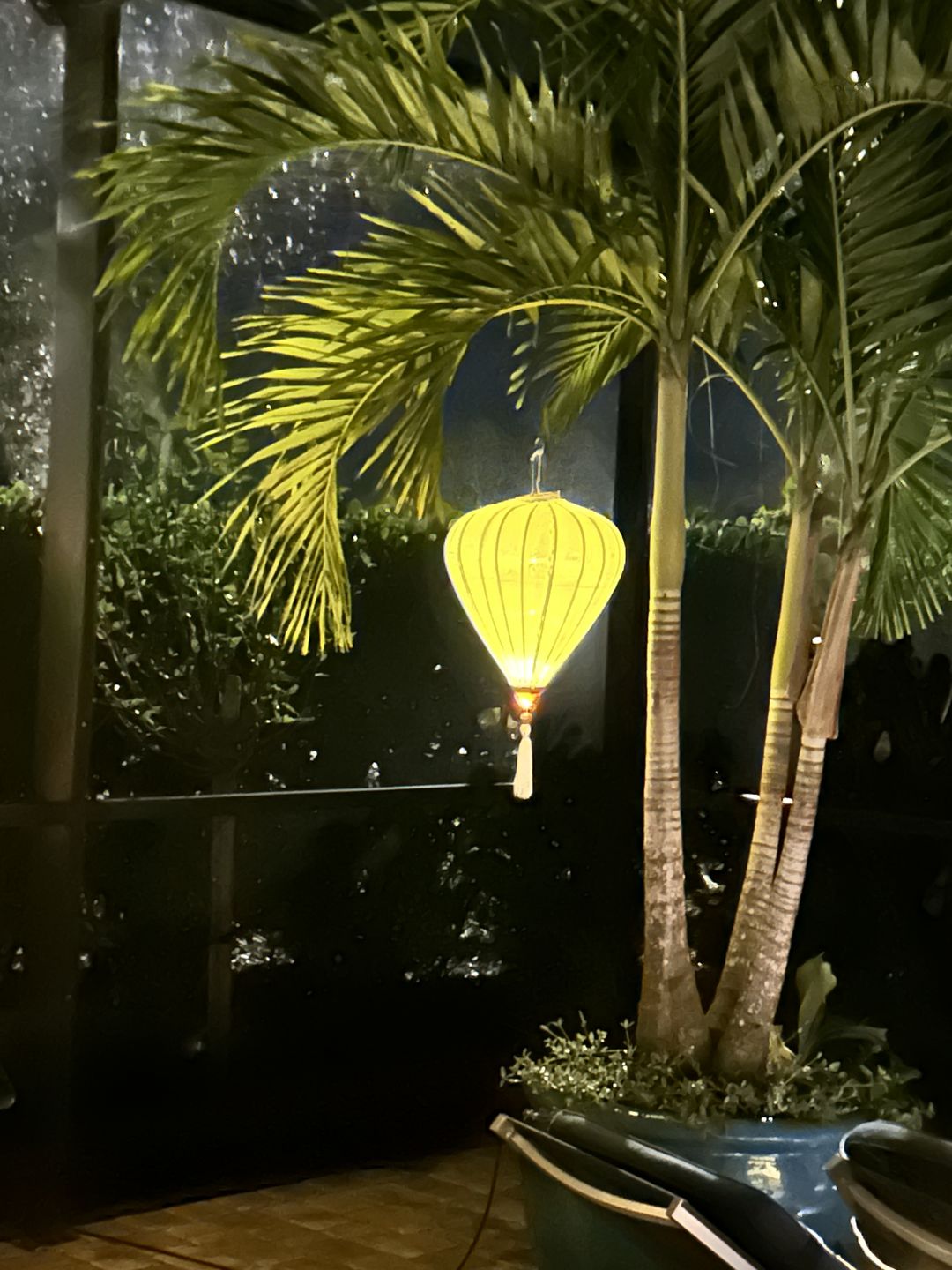 Customer photo review of Medium White Vietnamese Silk Lantern, Garlic Umbrella Shaped