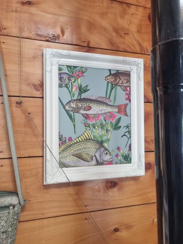 Customer photo review of Lagoon Fish Wallpaper - 2 Colours