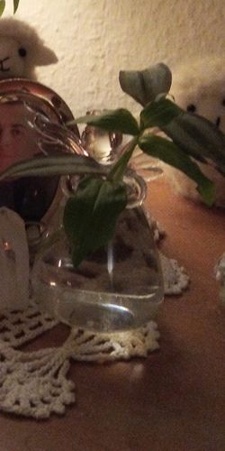 Customer photo review of Mon petit ange gardien