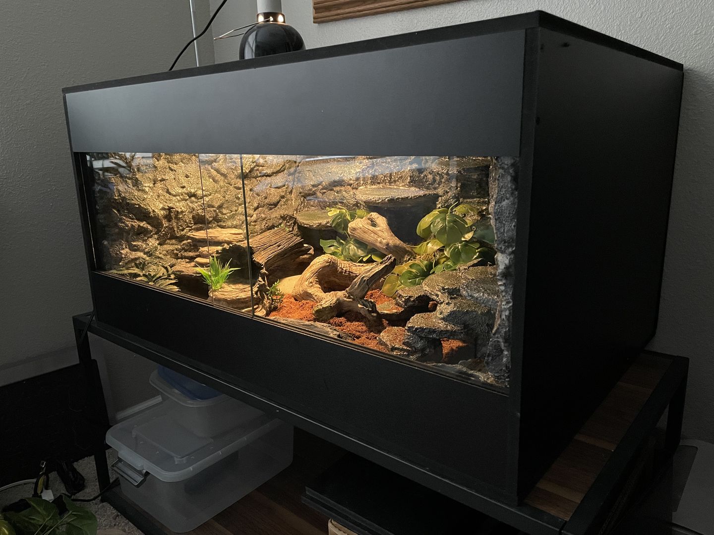 Customer photo review of 36"x24"x18" Premium PVC Reptile Enclosure