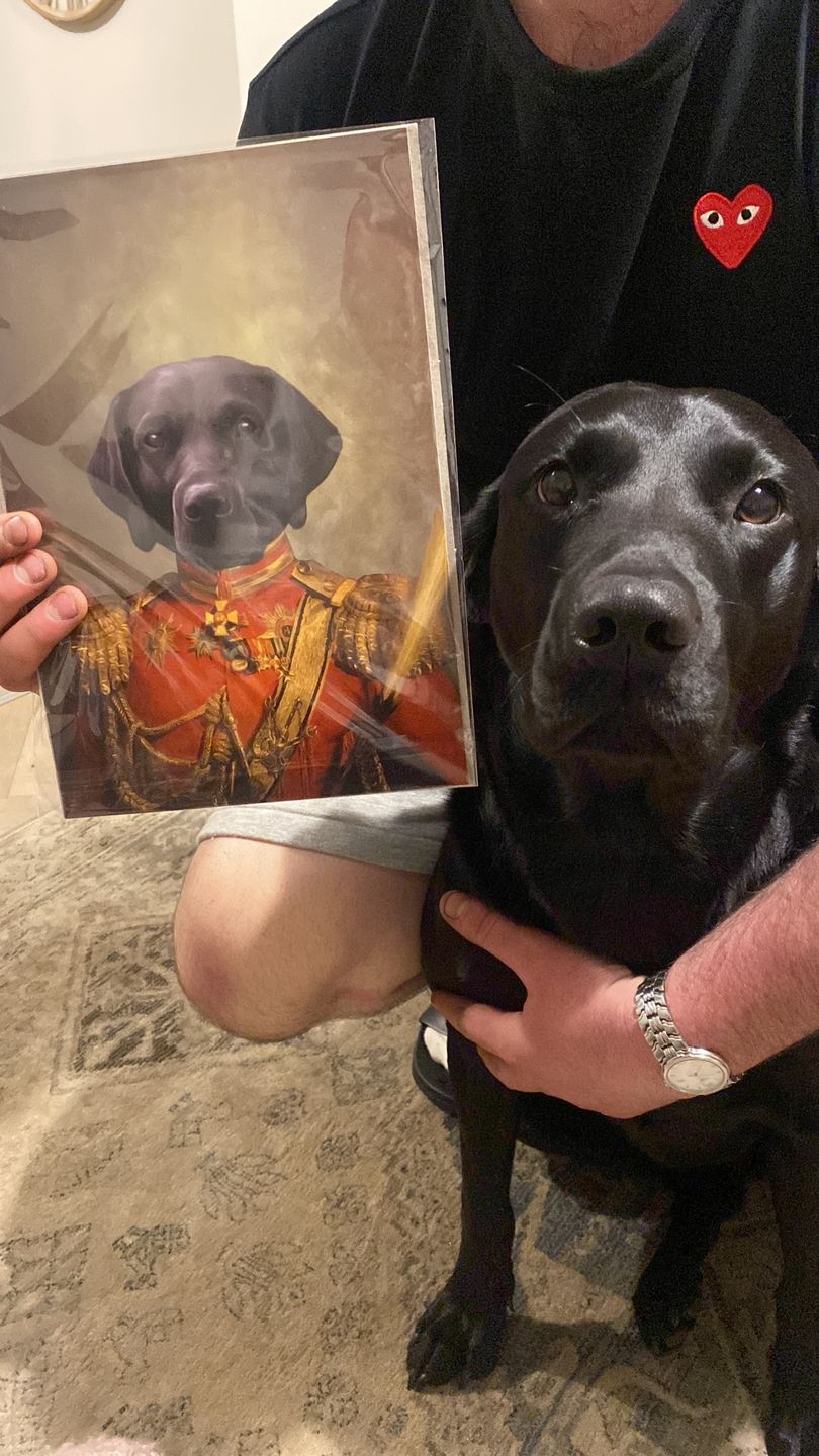 Customer photo review of The Duke: Custom Pet Portrait