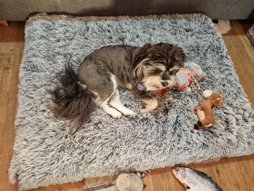 Customer photo review of PaWz  Multimat