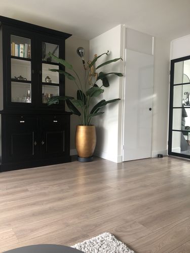 Customer photo review of Bananen Kunstplant 180cm