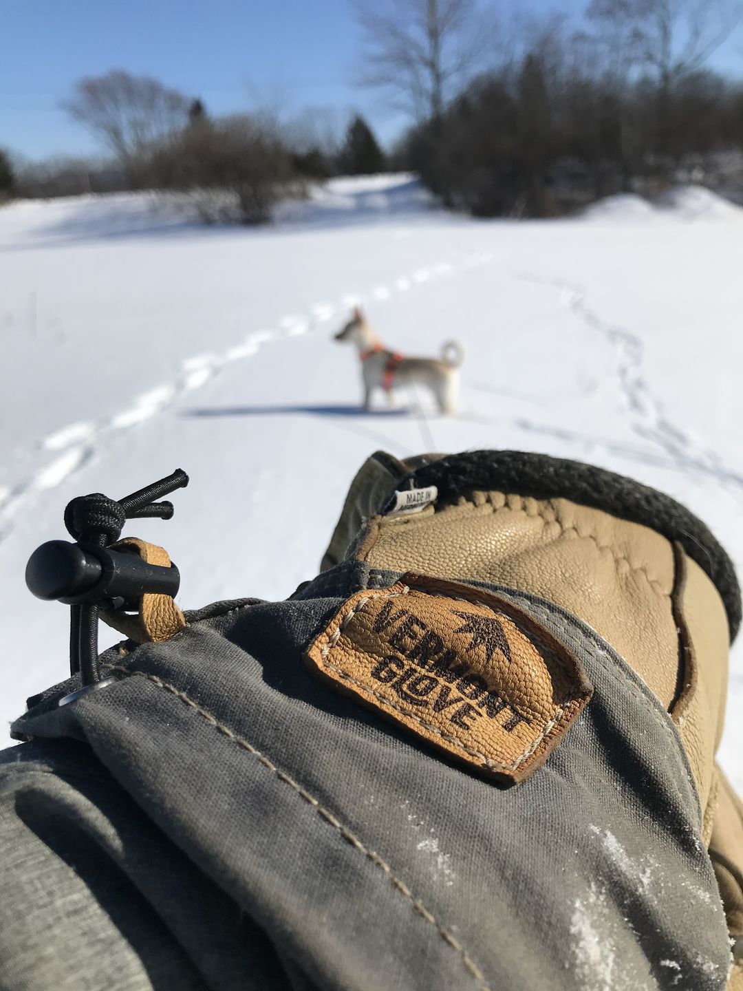 Customer photo review of Uphill Skier