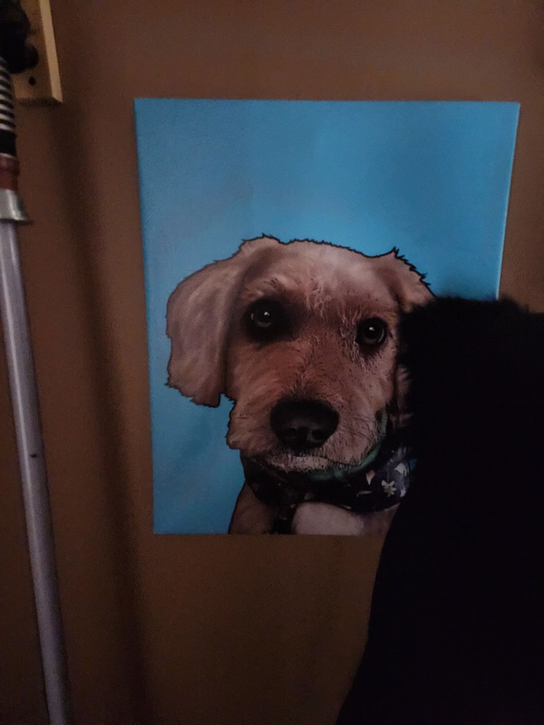 Customer photo review of Custom Pet Art Canvas Wrap