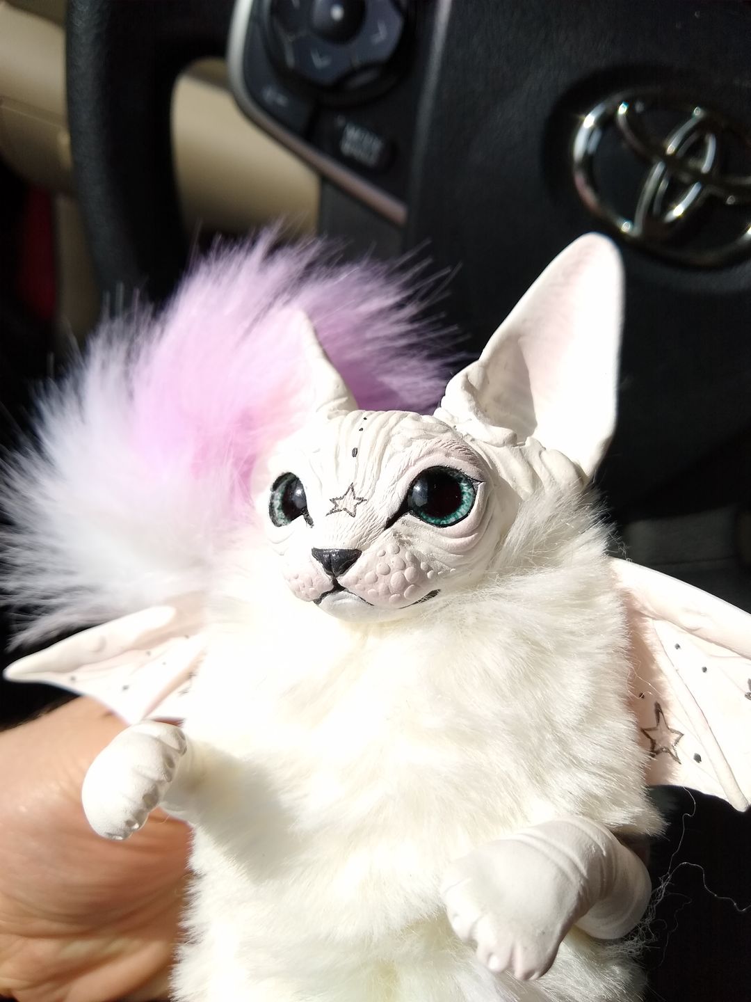 Customer photo review of Baby batcat