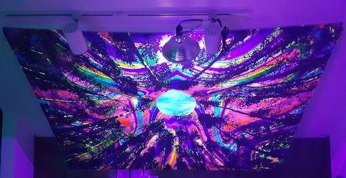 Customer photo review of Vibrant Forest BlackLight Tapestry