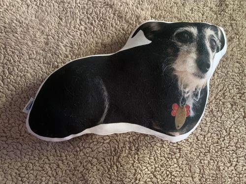 Customer photo review of Create A Custom Dog Pillow