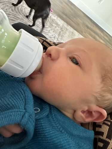 Customer photo review of HiPP Stage PRE Organic (Bio) Combiotic Infant Milk Formula (600g) - German Version 1 BOX
