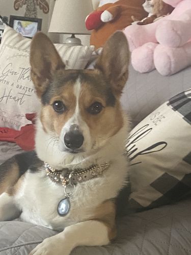 Customer photo review of Black