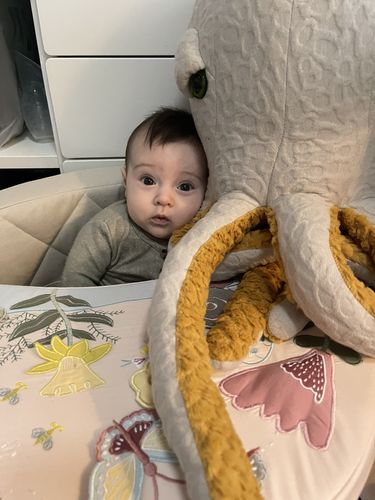 Customer photo review of The Octopus