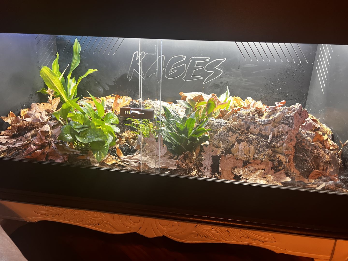 Customer photo review of 48"x24"x24" / 4'x2'x2' Premium PVC Reptile Enclosure