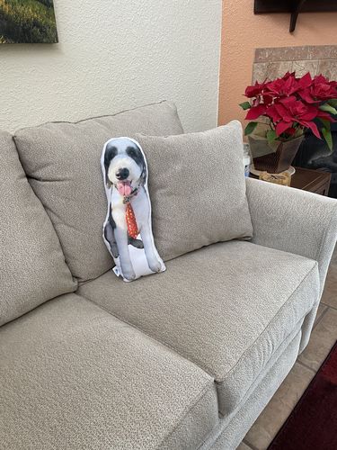 Customer photo review of Create A Custom Dog Pillow