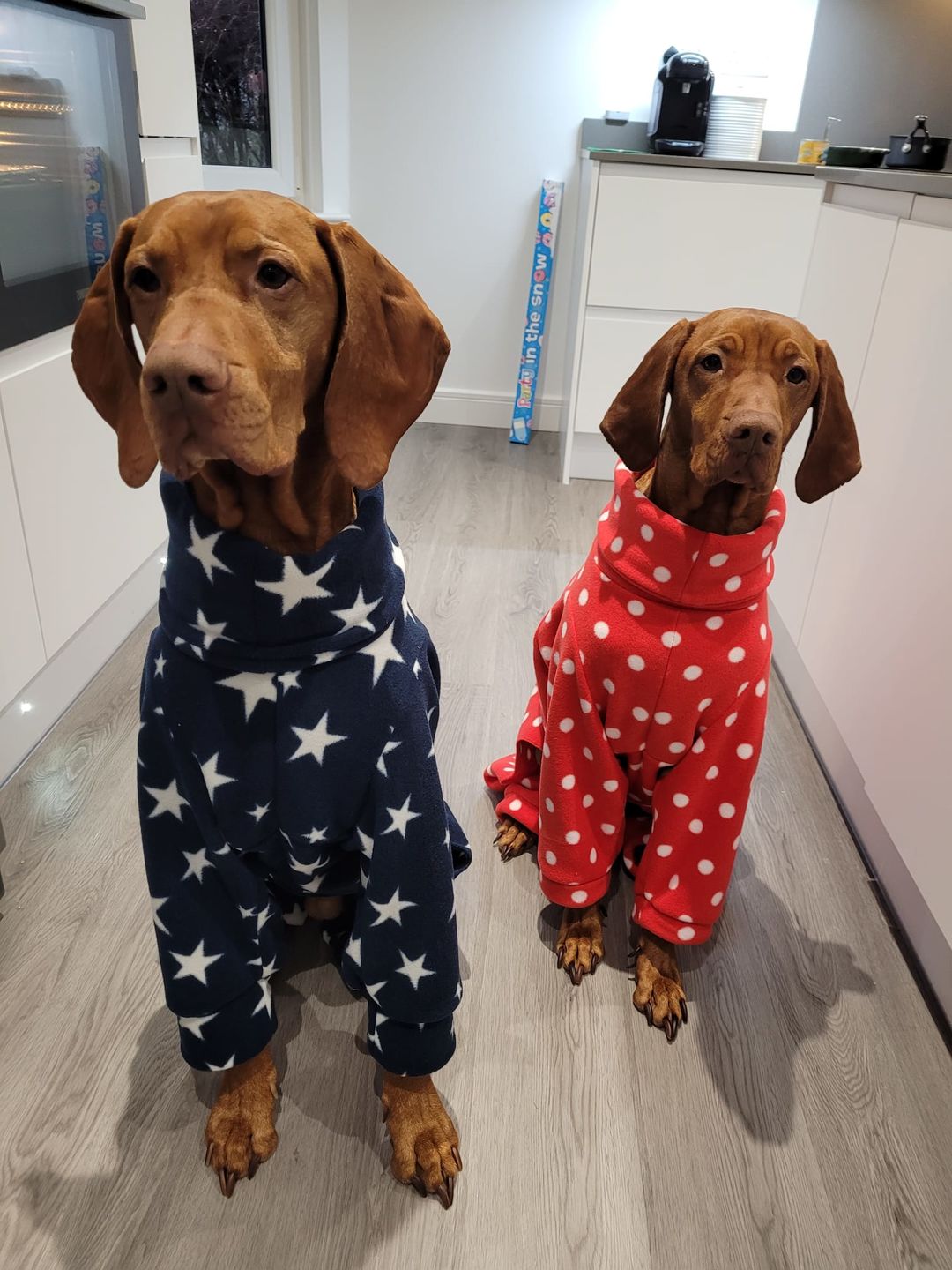 Customer photo review of White Polka Dot Anti Pill Polar Fleece Fabric