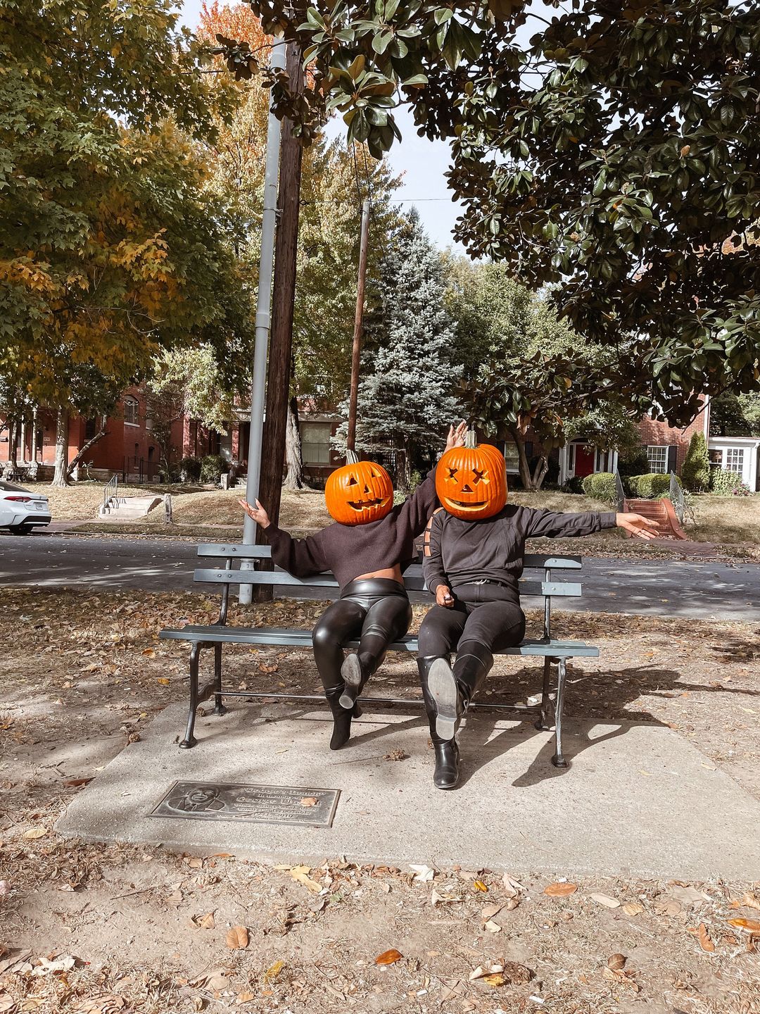 Customer photo review of Pumpkin Spice Preset Collection