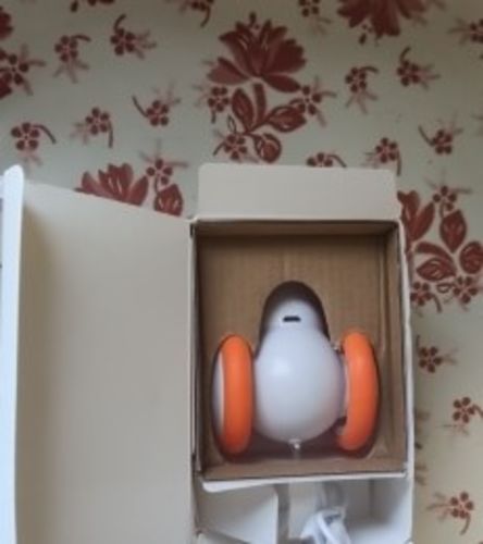 Customer photo review of Kitty Quest Interactive Mouse Toy