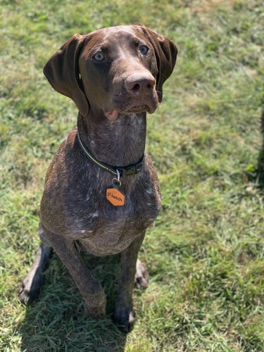 Customer photo review of Blaze Orange Fetch®
