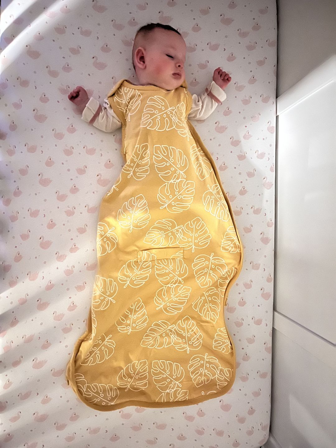 Customer photo review of Ecolino® Adjustable Baby Sleep Bag, Organic Cotton, Universal Size: 2 Months - 2 Years, Monstera Leaf