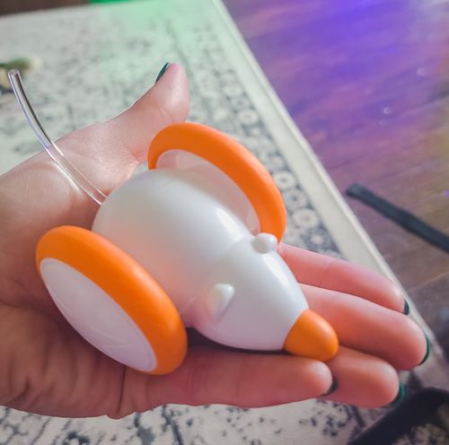 Customer photo review of Kitty Quest Interactive Mouse Toy