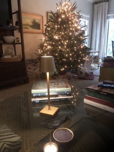Customer photo review of Florence - Italian Designer Lamp
