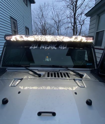 Customer photo review of 3D Lion Light Bar Insert