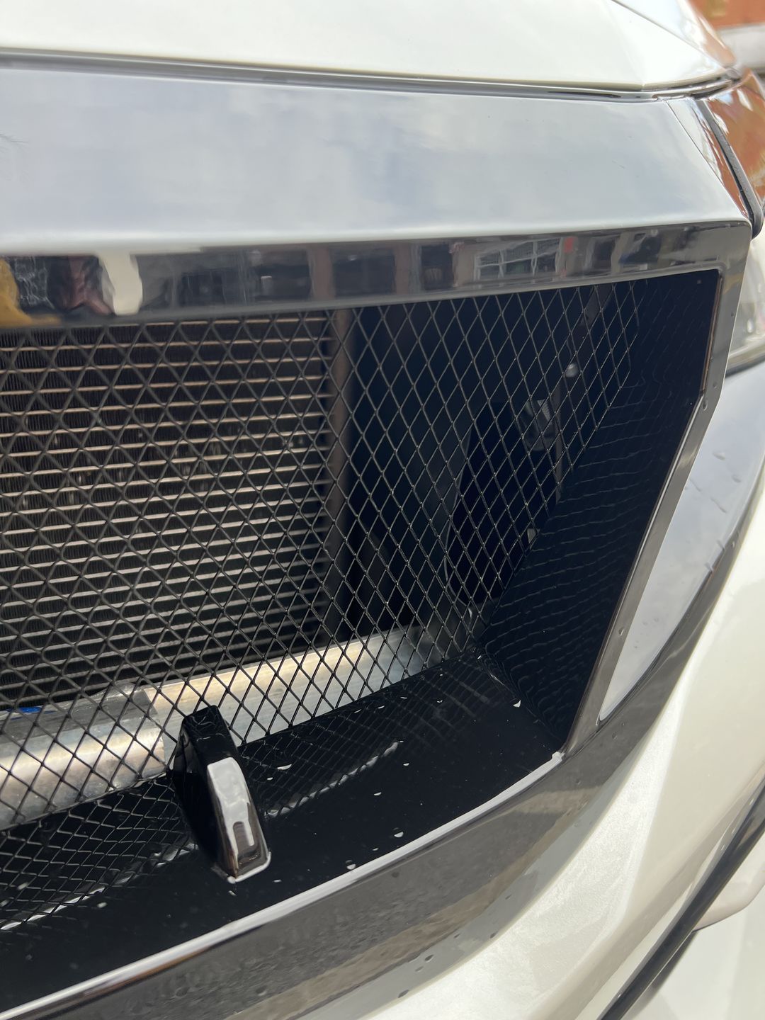 Customer photo review of Sports Grille w/ Steel Mesh - Glossy Black for 16-21 Honda Civic Sedan/Hatchback/FK8