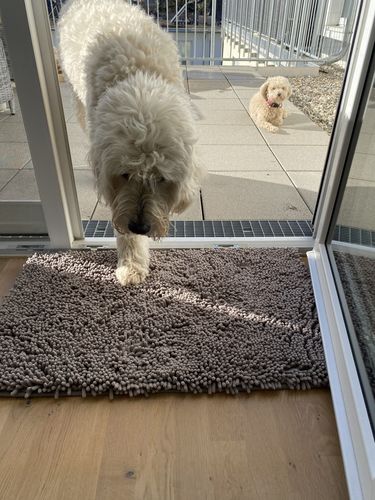 Customer photo review of Premium - CleanyMat