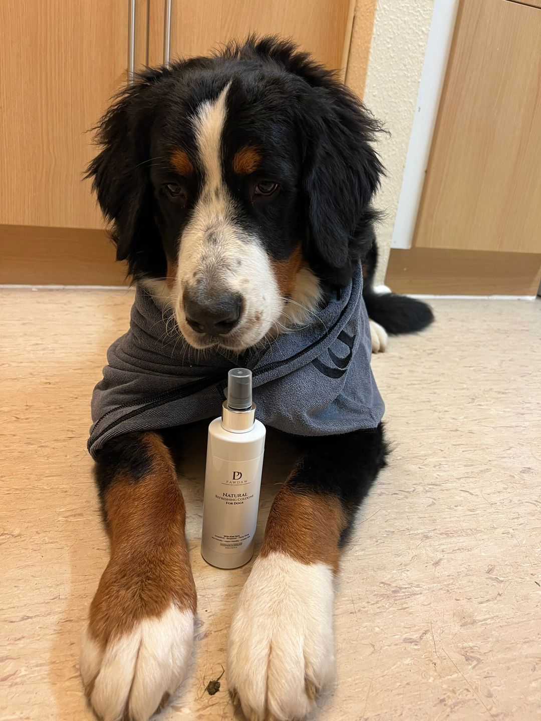 Customer photo review of Natural Refreshing Dog Cologne