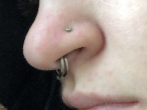 Customer photo review of Hinged Clicker Segment Ring Daith, Conch, Nose, Septum