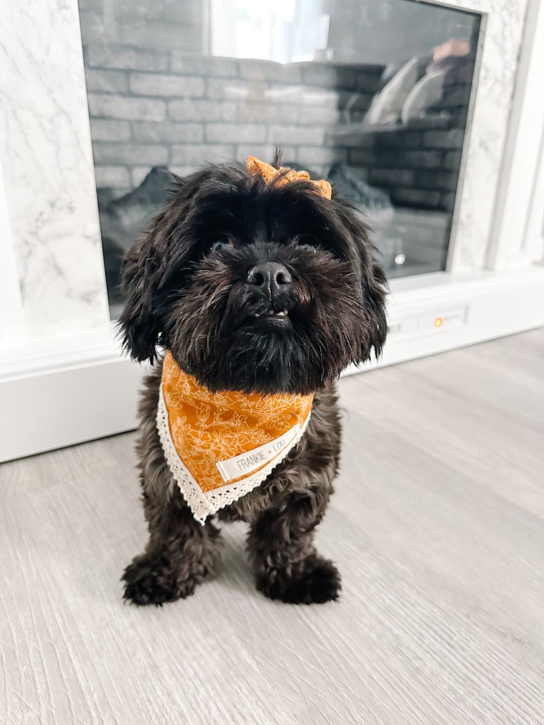 Customer photo review of Light & Airy Preset Collection