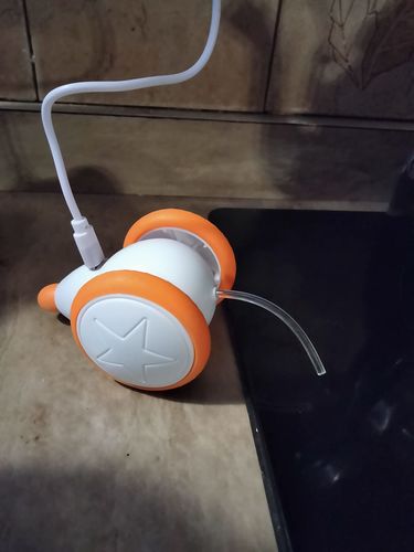 Customer photo review of Kitty Quest Interactive Mouse Toy