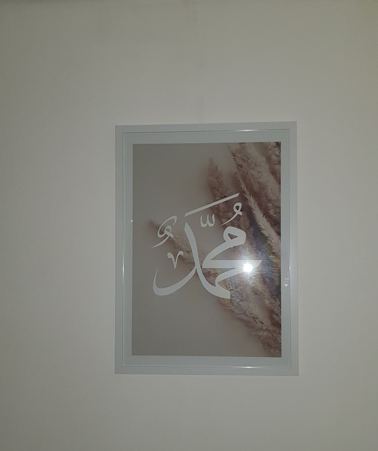 Customer photo review of Muhammed sav. - Pampasgras