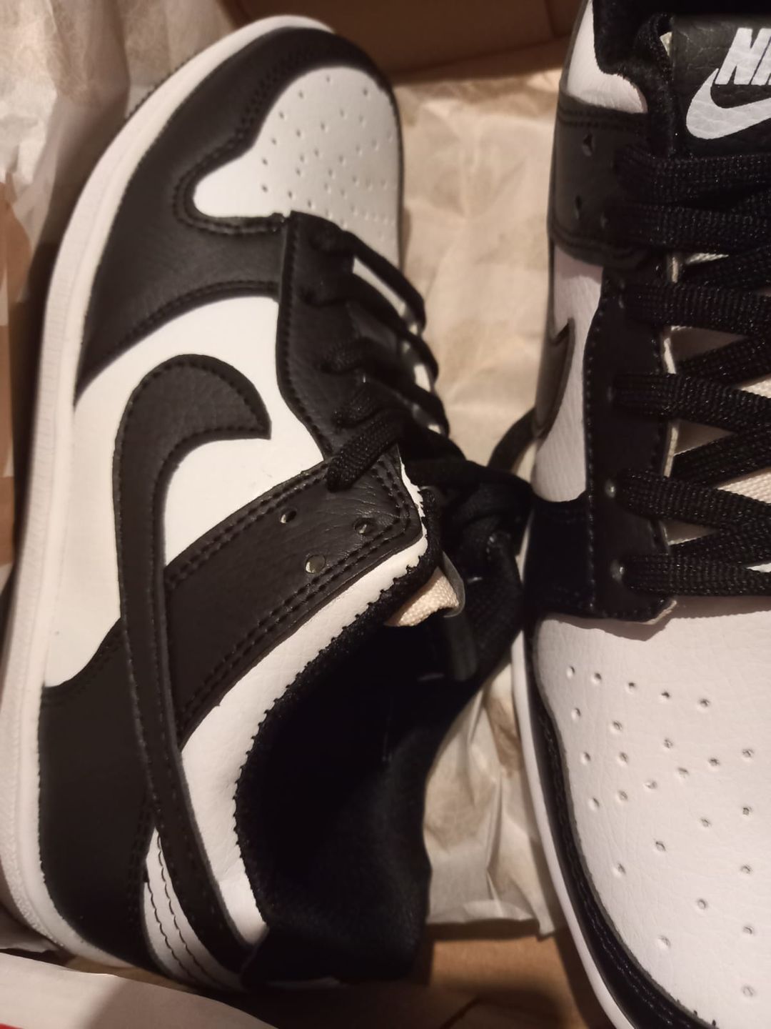 Customer photo review of Tenis Dunk Low Vaquita