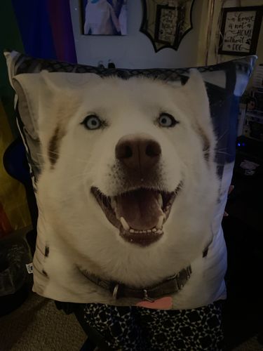 Customer photo review of Create A Custom Dog Pillow