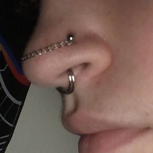 Customer photo review of Hinged Clicker Segment Ring Daith, Conch, Nose, Septum