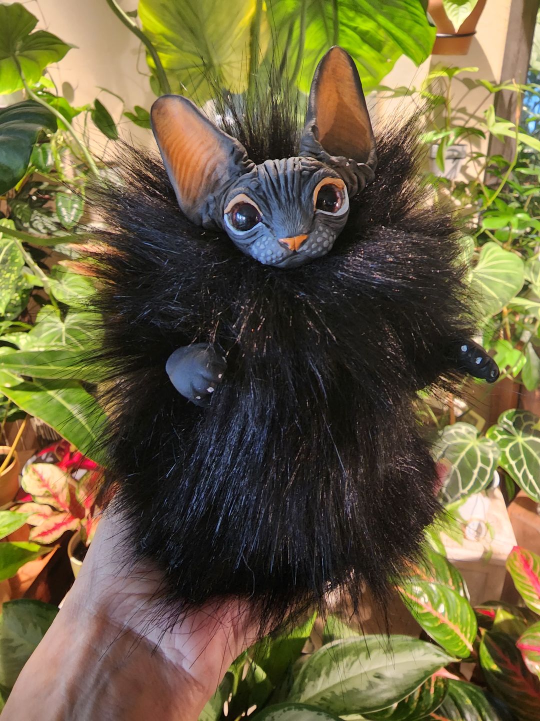 Customer photo review of Baby batcat