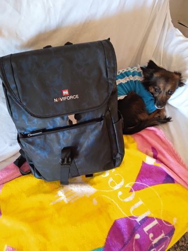 Customer photo review of Naviforce Discovery Zaino per Laptop
