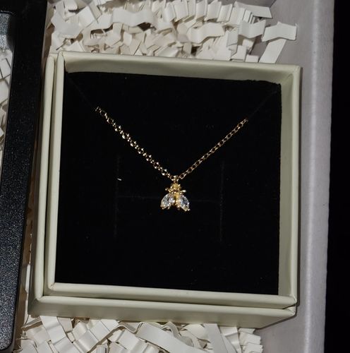 Customer photo review of BEE NECKLACE