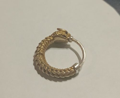 Customer photo review of Ouroboros Earrings